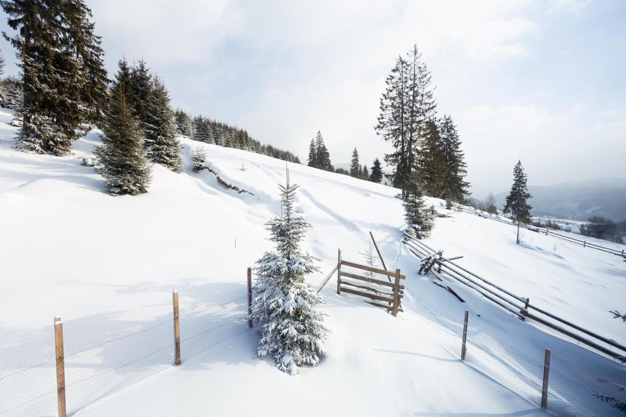 Villas Fomich Bukovel Exteriör bild